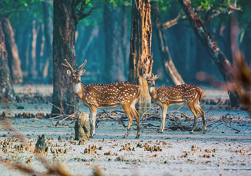 সাজেক ভ্যালি